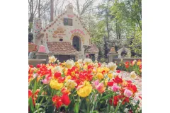 Efteling - Image 2